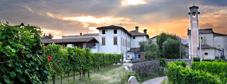 Borgo con le vigne