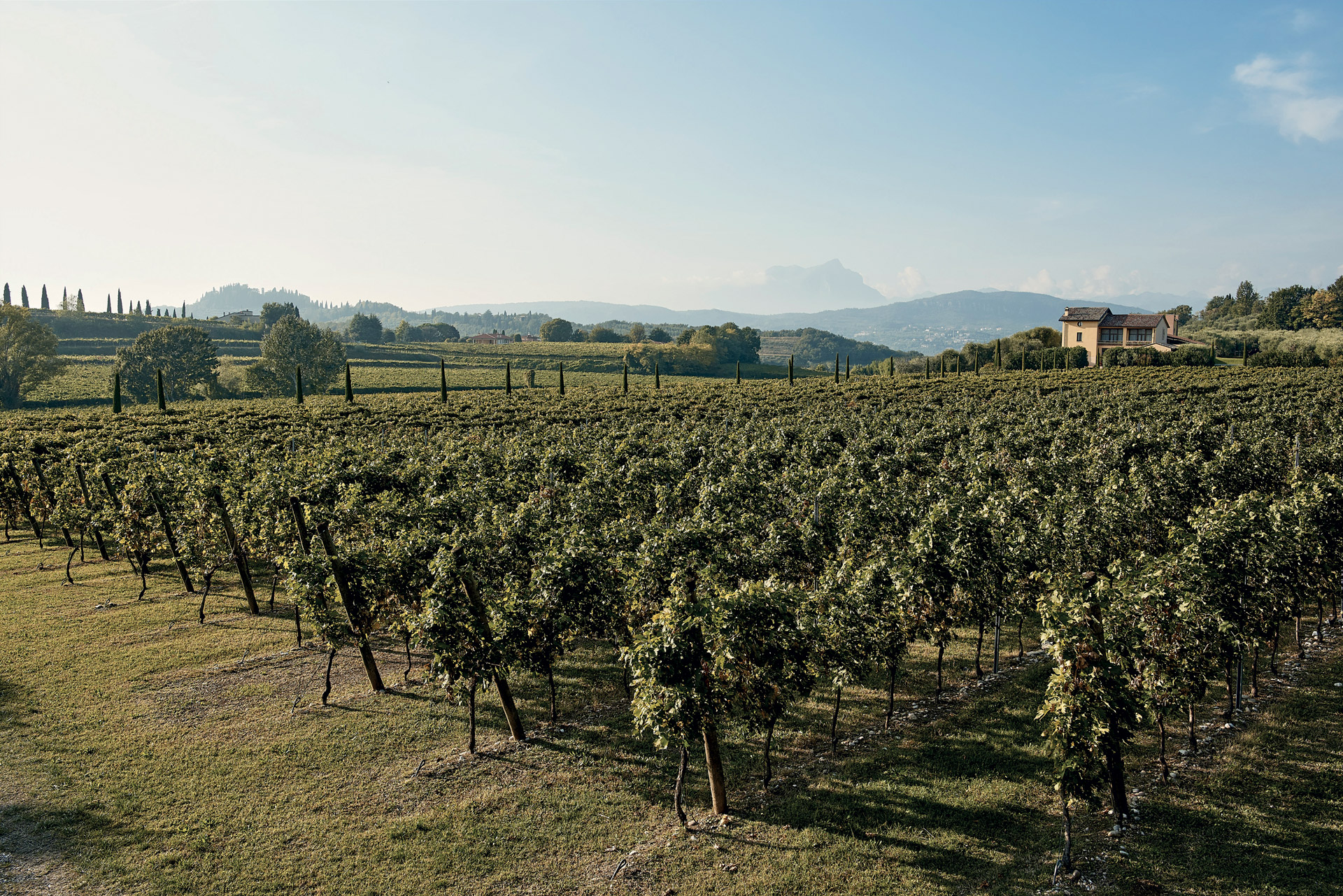 1.-Tenuta-Valleselle-15